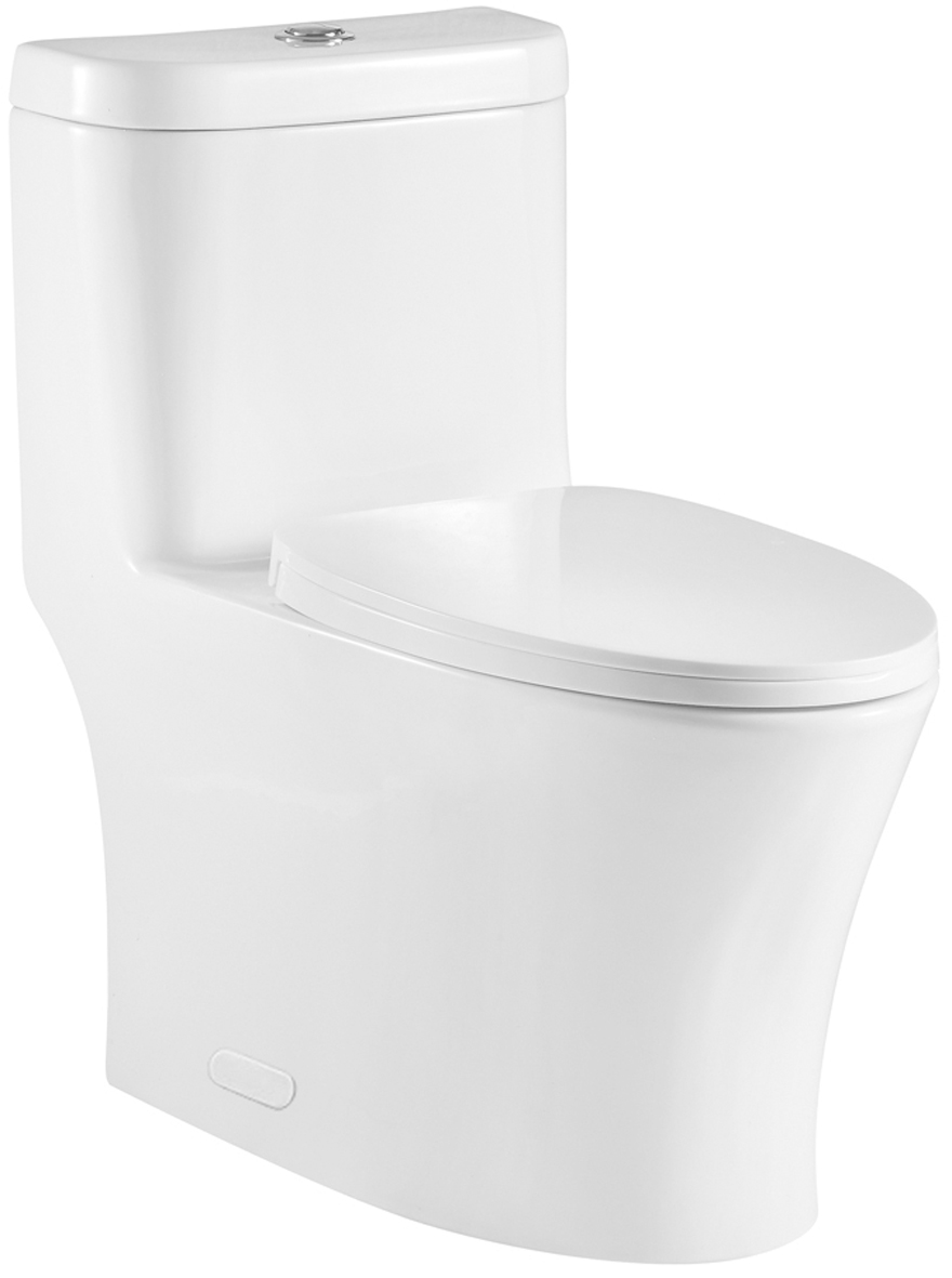 One Piece Oval Toilet with Soft Closing Seat and Dual Flush Height 29 7/10