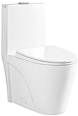 One Piece Oval Toilet with Soft Closing Seat and Dual Flush Height 30 9/10