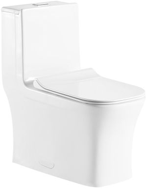 One Piece Square Toilet with Soft Closing Seat and Dual Flush Height 29 9/10