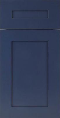 BLUE SAMPLE DOOR 