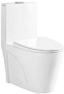 One Piece Oval Toilet with Soft Closing Seat and Dual Flush Height 30 9/10