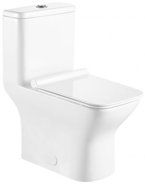 One Piece Square Toilet with Soft Closing Seat and Dual Flush Height 29 9/10